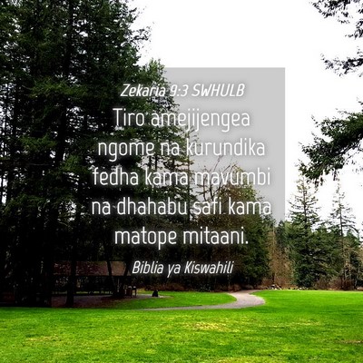 Picture 04 - Zekaria 9:3 SWHULB - Tiro amejijengea ngome na kurundika fedha kama - Bible Verse Picture