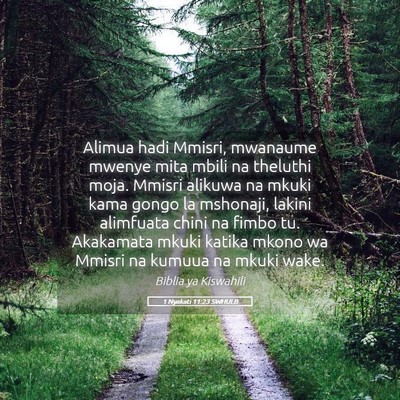 Picture 05 - 1 Nyakati 11:23 SWHULB - Alimua hadi Mmisri, mwanaume mwenye mita mbili na - Bible Verse Picture
