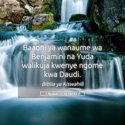 Picture 05 - 1 Nyakati 12:16 SWHULB - Baadhi ya wanaume wa Benjamini na Yuda walikuja - Bible Verse Picture