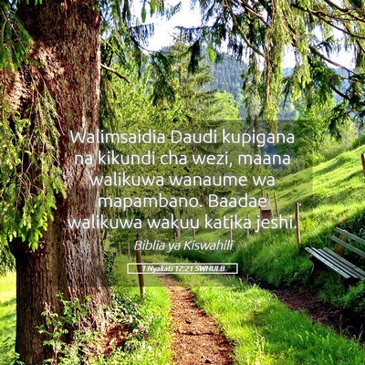 Picture 05 - 1 Nyakati 12:21 SWHULB - Walimsaidia Daudi kupigana na kikundi cha wezi, - Bible Verse Picture