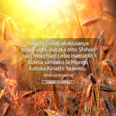 Picture 05 - 1 Nyakati 13:5 SWHULB - Kwaiyo Daudi akakusanya Israeli yote, kutoka mto - Bible Verse Picture