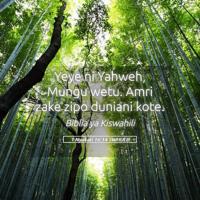 Picture 05 - 1 Nyakati 16:14 SWHULB - Yeye ni Yahweh, Mungu wetu. Amri zake zipo - Bible Verse Picture