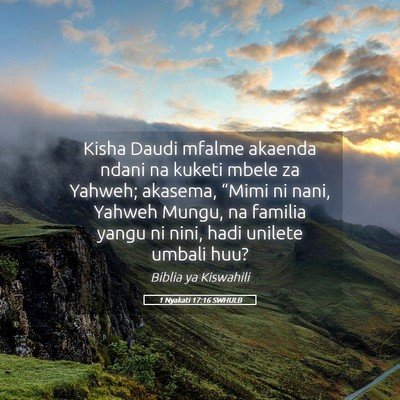 Picture 05 - 1 Nyakati 17:16 SWHULB - Kisha Daudi mfalme akaenda ndani na kuketi mbele - Bible Verse Picture