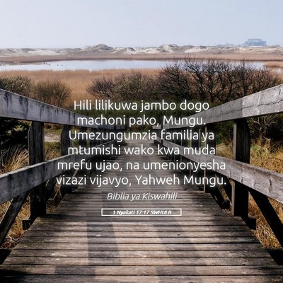 Picture 05 - 1 Nyakati 17:17 SWHULB - Hili lilikuwa jambo dogo machoni pako, Mungu. - Bible Verse Picture