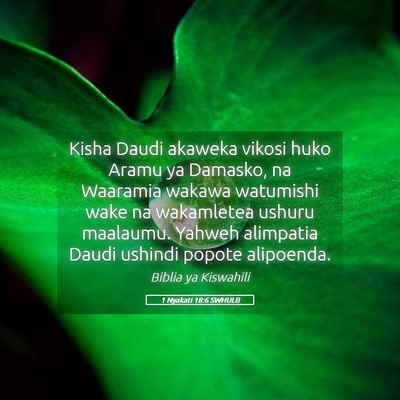 Picture 05 - 1 Nyakati 18:6 SWHULB - Kisha Daudi akaweka vikosi huko Aramu ya Damasko, - Bible Verse Picture