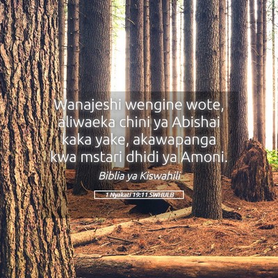 Picture 05 - 1 Nyakati 19:11 SWHULB - Wanajeshi wengine wote, aliwaeka chini ya Abishai - Bible Verse Picture
