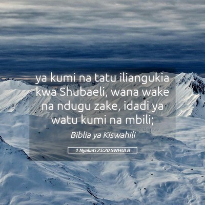 Picture 05 - 1 Nyakati 25:20 SWHULB - ya kumi na tatu iliangukia kwa Shubaeli, wana - Bible Verse Picture