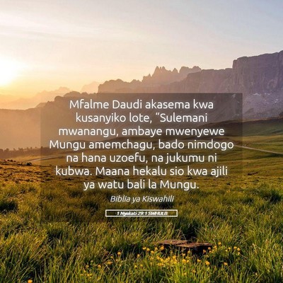 Picture 05 - 1 Nyakati 29:1 SWHULB - Mfalme Daudi akasema kwa kusanyiko lote, - Bible Verse Picture