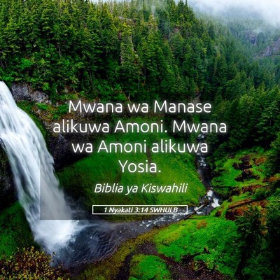 Picture 05 - 1 Nyakati 3:14 SWHULB - Mwana wa Manase alikuwa Amoni. Mwana wa Amoni - Bible Verse Picture