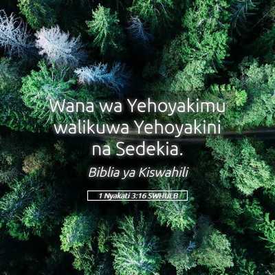 Picture 05 - 1 Nyakati 3:16 SWHULB - Wana wa Yehoyakimu walikuwa Yehoyakini na - Bible Verse Picture