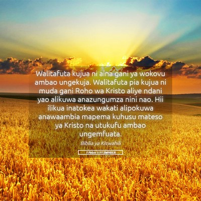 Picture 05 - 1 Petro 1:11 SWHULB - Walitafuta kujua ni aina gani ya wokovu ambao - Bible Verse Picture
