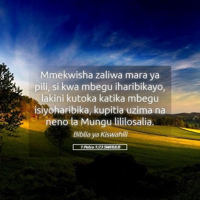 Picture 05 - 1 Petro 1:23 SWHULB - Mmekwisha zaliwa mara ya pili, si kwa mbegu - Bible Verse Picture