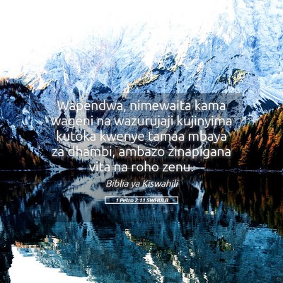 Picture 05 - 1 Petro 2:11 SWHULB - Wapendwa, nimewaita kama wageni na wazurujaji - Bible Verse Picture
