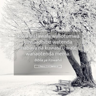 Picture 05 - 1 Petro 2:14 SWHULB - ikiwa watawala waliotumwa kuwaadhibu watenda - Bible Verse Picture