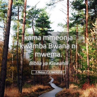 Picture 05 - 1 Petro 2:3 SWHULB - kama mmeonja kwamba Bwana ni - Bible Verse Picture