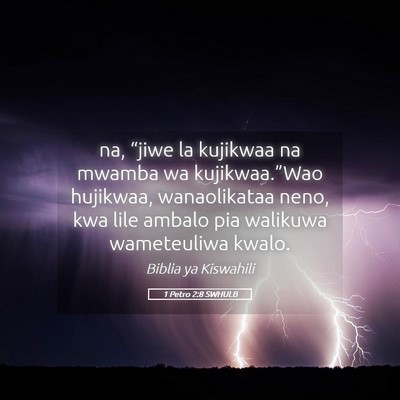 Picture 05 - 1 Petro 2:8 SWHULB - na, “jiwe la kujikwaa na mwamba wa - Bible Verse Picture