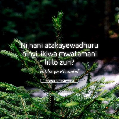 Picture 05 - 1 Petro 3:13 SWHULB - Ni nani atakayewadhuru ninyi, ikiwa mwatamani - Bible Verse Picture