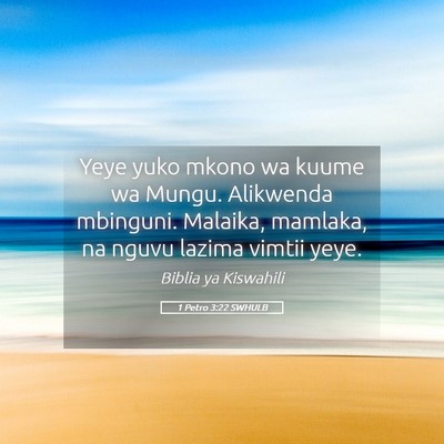 Picture 05 - 1 Petro 3:22 SWHULB - Yeye yuko mkono wa kuume wa Mungu. Alikwenda - Bible Verse Picture