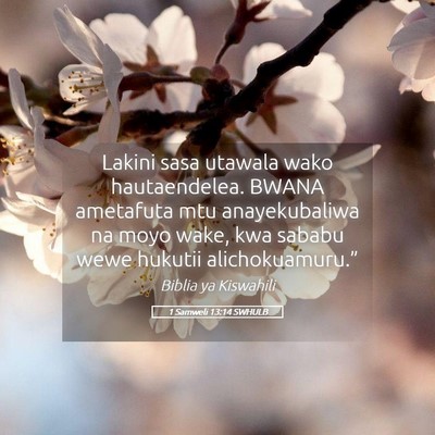 Picture 05 - 1 Samweli 13:14 SWHULB - Lakini sasa utawala wako hautaendelea. BWANA - Bible Verse Picture