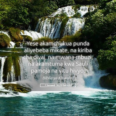 Picture 05 - 1 Samweli 16:20 SWHULB - Yese akamchukua punda aliyebeba mikate, na kiriba - Bible Verse Picture
