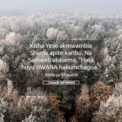 Picture 05 - 1 Samweli 16:9 SWHULB - Kisha Yese akmwambia Shama apite karibu. Na - Bible Verse Picture