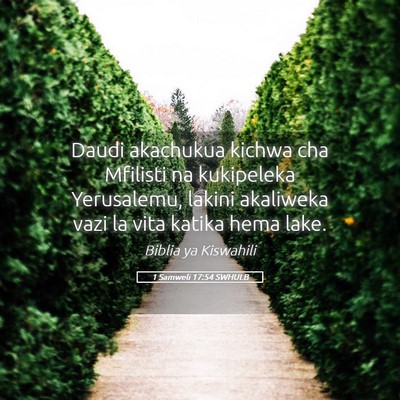 Picture 05 - 1 Samweli 17:54 SWHULB - Daudi akachukua kichwa cha Mfilisti na kukipeleka - Bible Verse Picture