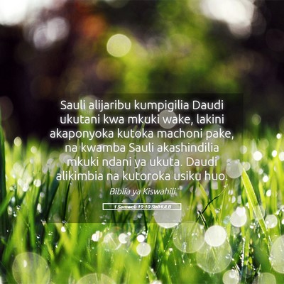 Picture 05 - 1 Samweli 19:10 SWHULB - Sauli alijaribu kumpigilia Daudi ukutani kwa - Bible Verse Picture