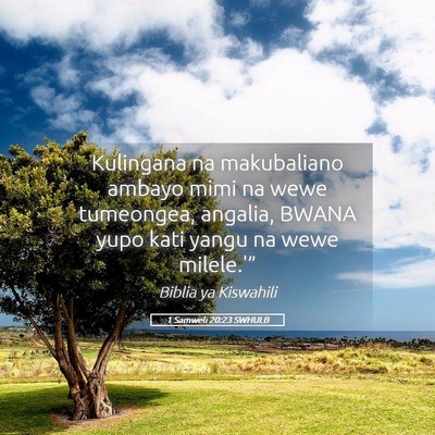 Picture 05 - 1 Samweli 20:23 SWHULB - Kulingana na makubaliano ambayo mimi na wewe - Bible Verse Picture