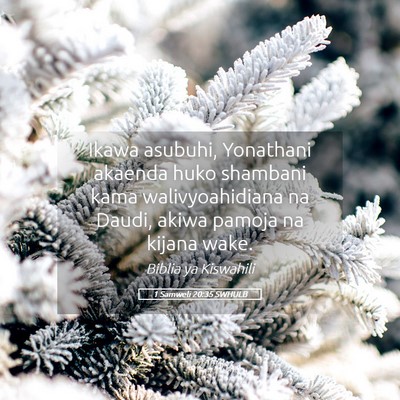 Picture 05 - 1 Samweli 20:35 SWHULB - Ikawa asubuhi, Yonathani akaenda huko shambani - Bible Verse Picture