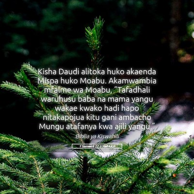 Picture 05 - 1 Samweli 22:3 SWHULB - Kisha Daudi alitoka huko akaenda Mispa huko - Bible Verse Picture