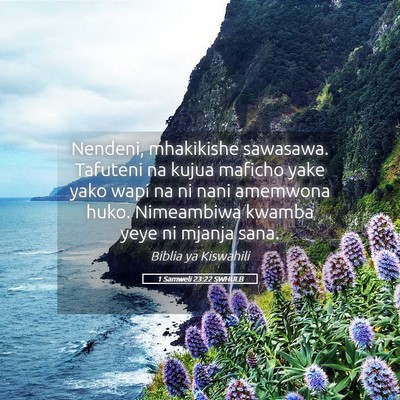 Picture 05 - 1 Samweli 23:22 SWHULB - Nendeni, mhakikishe sawasawa. Tafuteni na kujua - Bible Verse Picture