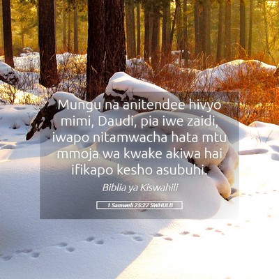 Picture 05 - 1 Samweli 25:22 SWHULB - Mungu na anitendee hivyo mimi, Daudi, pia iwe - Bible Verse Picture