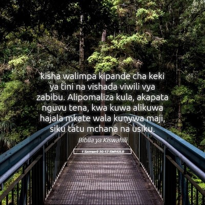 Picture 05 - 1 Samweli 30:12 SWHULB - kisha walimpa kipande cha keki ya tini na vishada - Bible Verse Picture