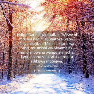Picture 05 - 1 Samweli 30:13 SWHULB - Ndipo Daudi akamuuliza, “Wewe ni mtu wa nani? - Bible Verse Picture