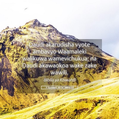 Picture 05 - 1 Samweli 30:18 SWHULB - Daudi akarudisha vyote ambavyo Waamaleki walikuwa - Bible Verse Picture