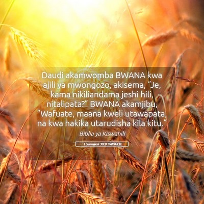 Picture 05 - 1 Samweli 30:8 SWHULB - Daudi akamwomba BWANA kwa ajili ya mwongozo, - Bible Verse Picture