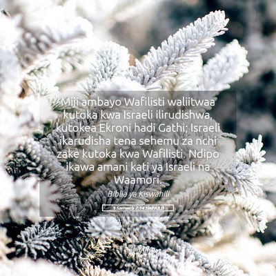 Picture 05 - 1 Samweli 7:14 SWHULB - Miji ambayo Wafilisti waliitwaa kutoka kwa - Bible Verse Picture