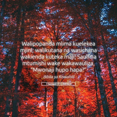 Picture 05 - 1 Samweli 9:11 SWHULB - Walipopanda mlima kuelekea mjini, walikutana na - Bible Verse Picture