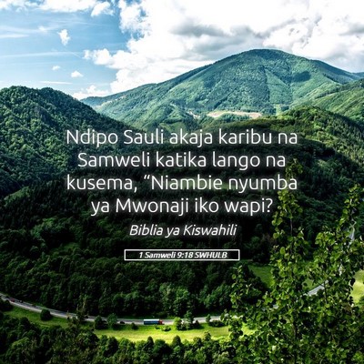 Picture 05 - 1 Samweli 9:18 SWHULB - Ndipo Sauli akaja karibu na Samweli katika lango - Bible Verse Picture