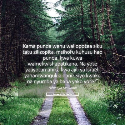 Picture 05 - 1 Samweli 9:20 SWHULB - Kama punda wenu waliopotea siku tatu zilizopita, - Bible Verse Picture