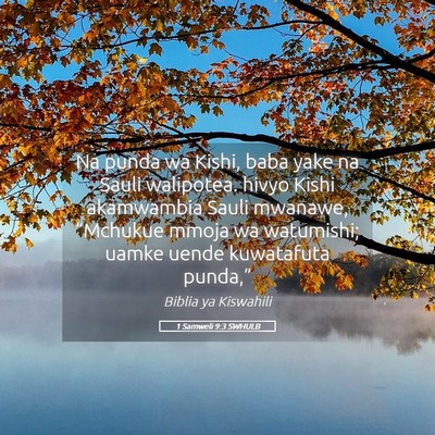 Picture 05 - 1 Samweli 9:3 SWHULB - Na punda wa Kishi, baba yake na Sauli walipotea. - Bible Verse Picture