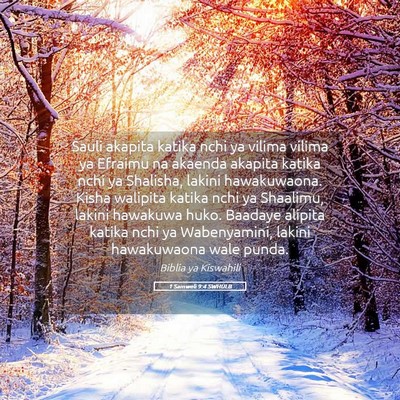 Picture 05 - 1 Samweli 9:4 SWHULB - Sauli akapita katika nchi ya vilima vilima ya - Bible Verse Picture