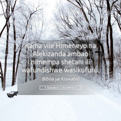 Picture 05 - 1 Timotheo 1:20 SWHULB - Kama vile Himeneyo na Alekizanda ambao nimempa - Bible Verse Picture
