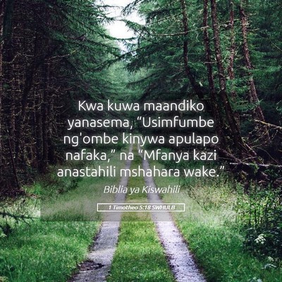Picture 05 - 1 Timotheo 5:18 SWHULB - Kwa kuwa maandiko yanasema, “Usimfumbe ng'ombe - Bible Verse Picture