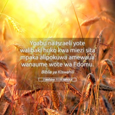 Picture 05 - 1 Wafalme 11:16 SWHULB - Yoabu na Israeli yote walibaki huko kwa miezi - Bible Verse Picture