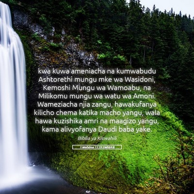 Picture 05 - 1 Wafalme 11:33 SWHULB - kwa kuwa ameniacha na kumwabudu Ashtorethi mungu - Bible Verse Picture