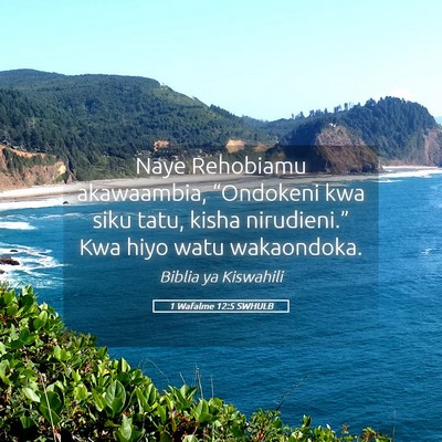Picture 05 - 1 Wafalme 12:5 SWHULB - Naye Rehobiamu akawaambia, “Ondokeni kwa siku - Bible Verse Picture