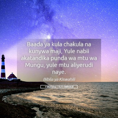 Picture 05 - 1 Wafalme 13:23 SWHULB - Baada ya kula chakula na kunywa maji, Yule nabii - Bible Verse Picture