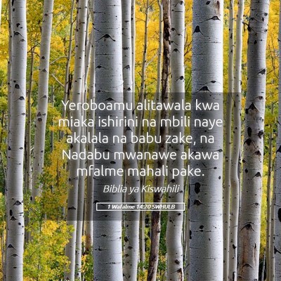 Picture 05 - 1 Wafalme 14:20 SWHULB - Yeroboamu alitawala kwa miaka ishirini na mbili - Bible Verse Picture