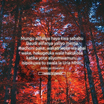 Picture 05 - 1 Wafalme 15:5 SWHULB - Mungu alifanya haya kwa sababu Daudi alifanya - Bible Verse Picture